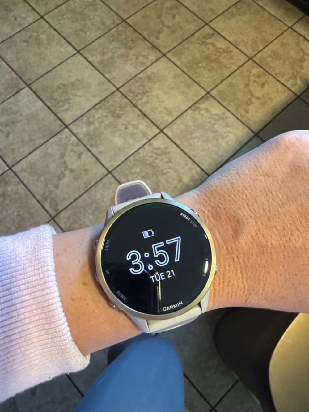 Garmin Forerunner 970 Soft Gold Titanium French Gray Case - Picture 5 of 7
